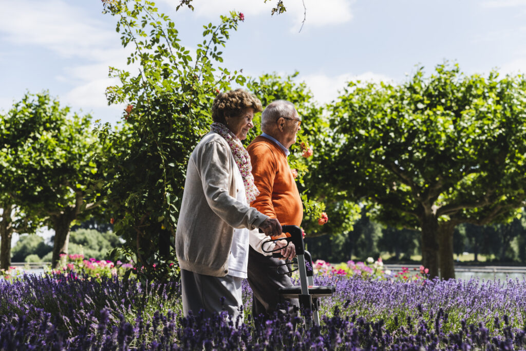 Passeggiate primaverili in giardino: Benefici per